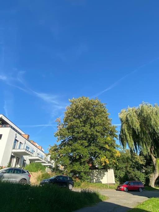 Zentral & Chic - Apartment Harzperle 2 Bad Harzburg Eksteriør bilde